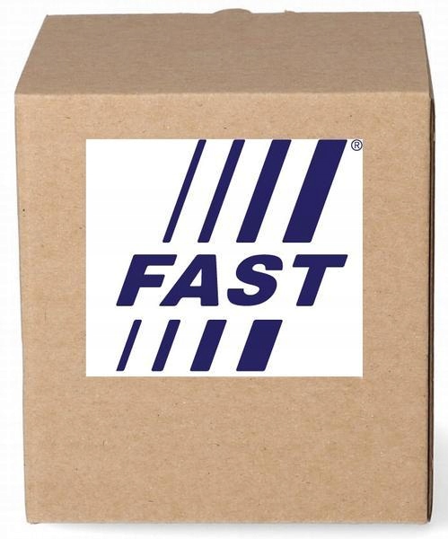 FAST КОЛОДКИ HAM CITROEN BERLINGO 08 > ПЕРЕДНИЙ ESP